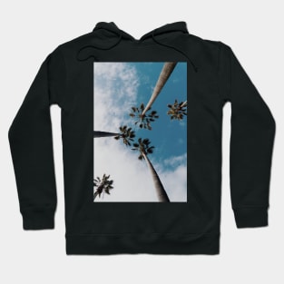 palm trees Hoodie